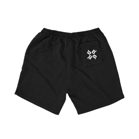 Script Shorts